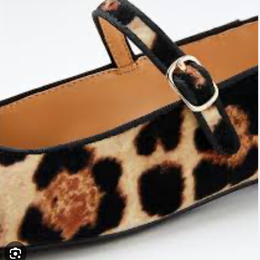 “Loft” Leopard Print Velvet Buckle Strap Ballet Flats; size 8; NWOT - Picture 3 of 9